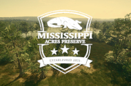 Daten zum Revier Mississippi