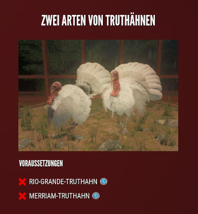 Multimount - Zwei Arten von Truthähnen