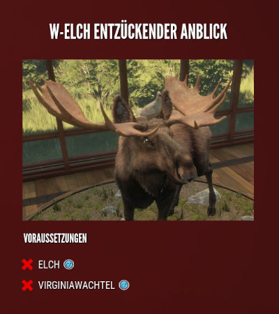 Multimount - W-Elch entzückender Anblick