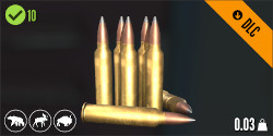 Logo Munition .300 Magnum-Soft-Point-Geschoss Logo Munition .300 Magnum-Soft-Point-Geschoss