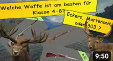 Logo Video von Adlerauge