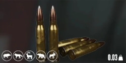Logo Munition .308 Geschoss mit Polymerspitze